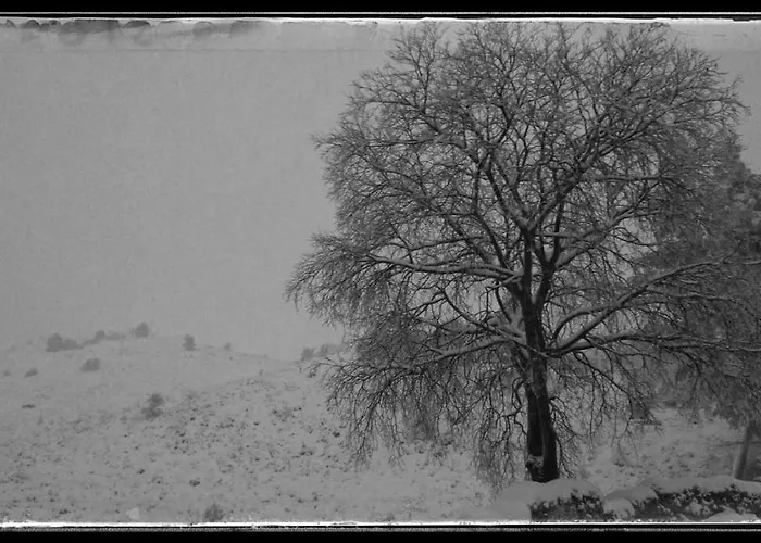 Casa Rural Casa Gimeno